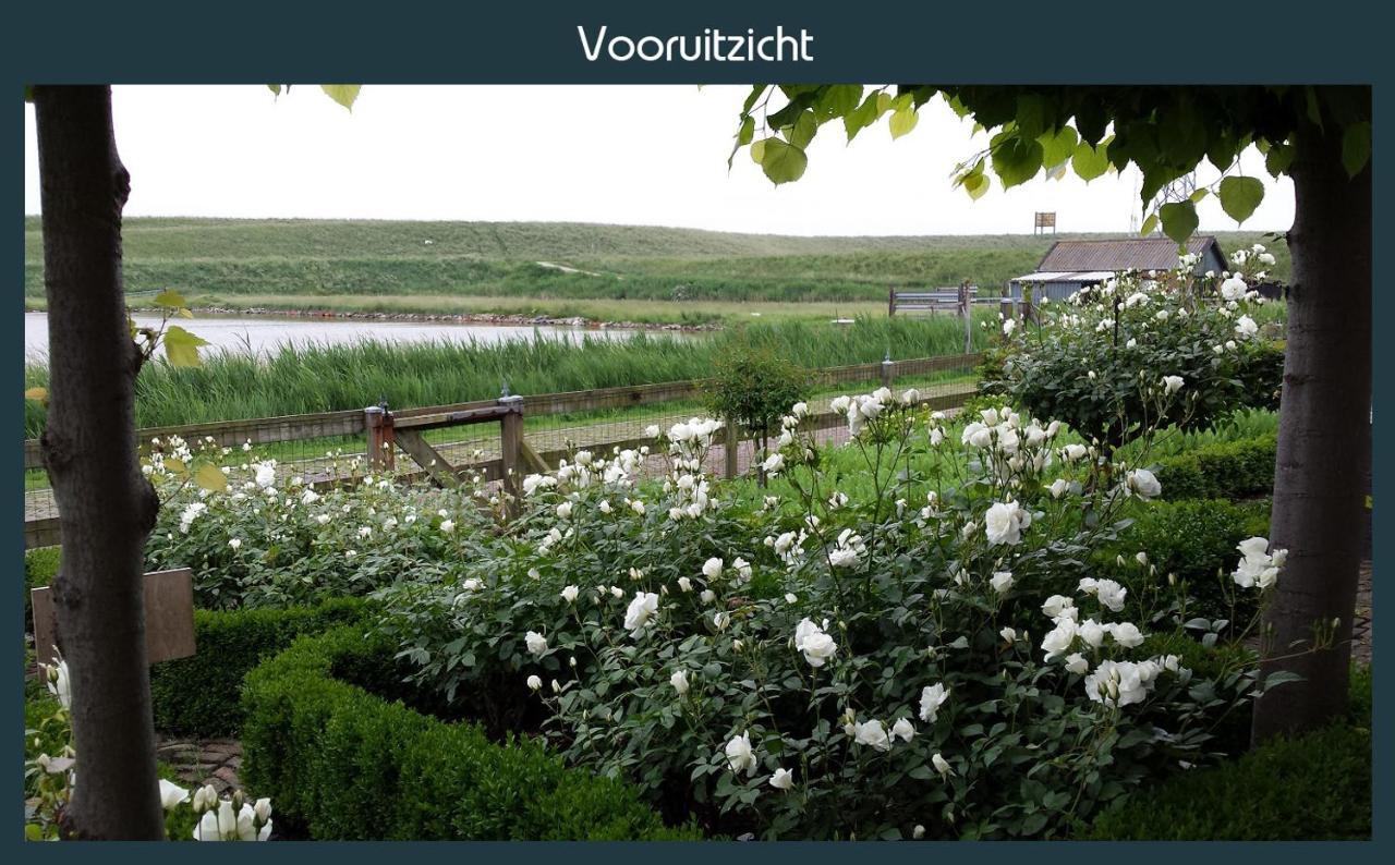Vakantiewoning Deltahof Ellewoutsdijk Exteriör bild