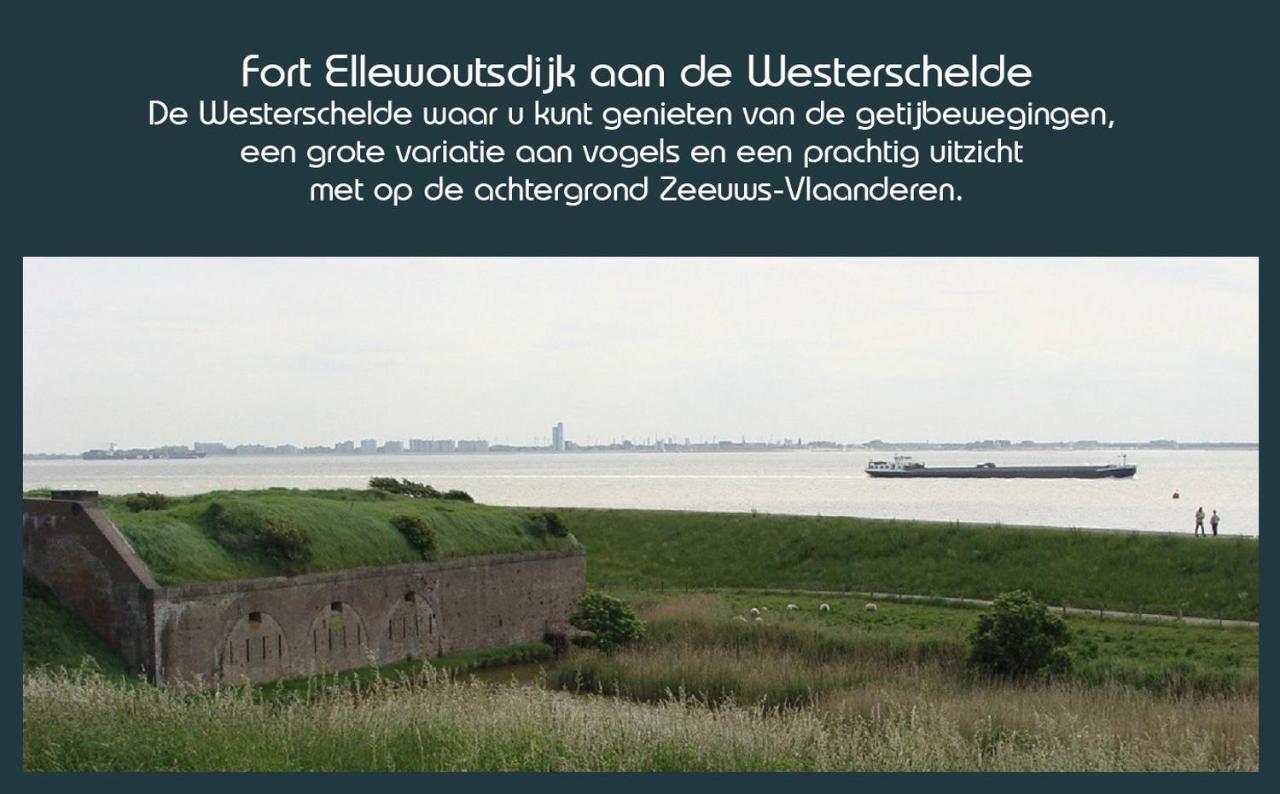 Vakantiewoning Deltahof Ellewoutsdijk Exteriör bild