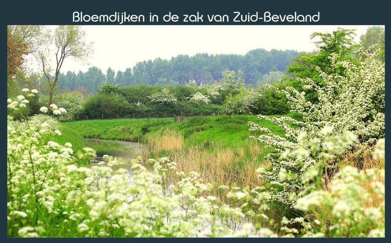 Vakantiewoning Deltahof Ellewoutsdijk Exteriör bild
