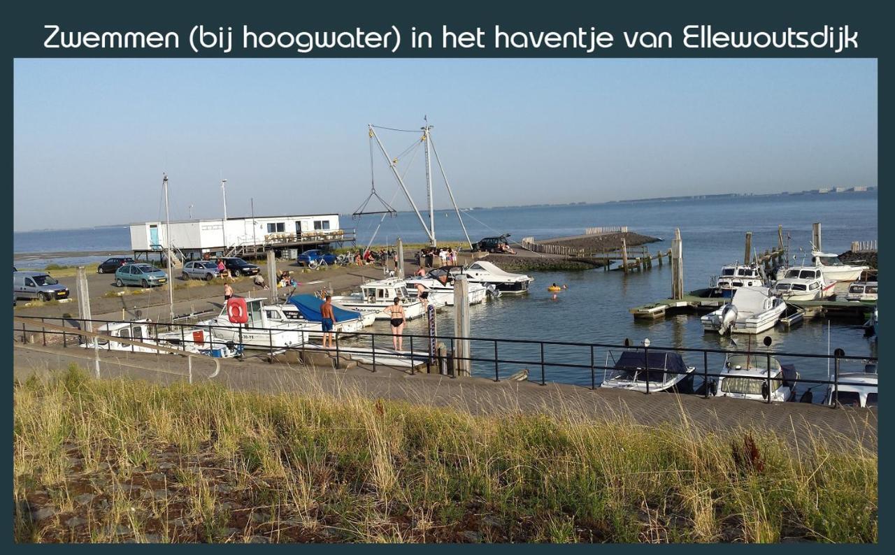Vakantiewoning Deltahof Ellewoutsdijk Exteriör bild