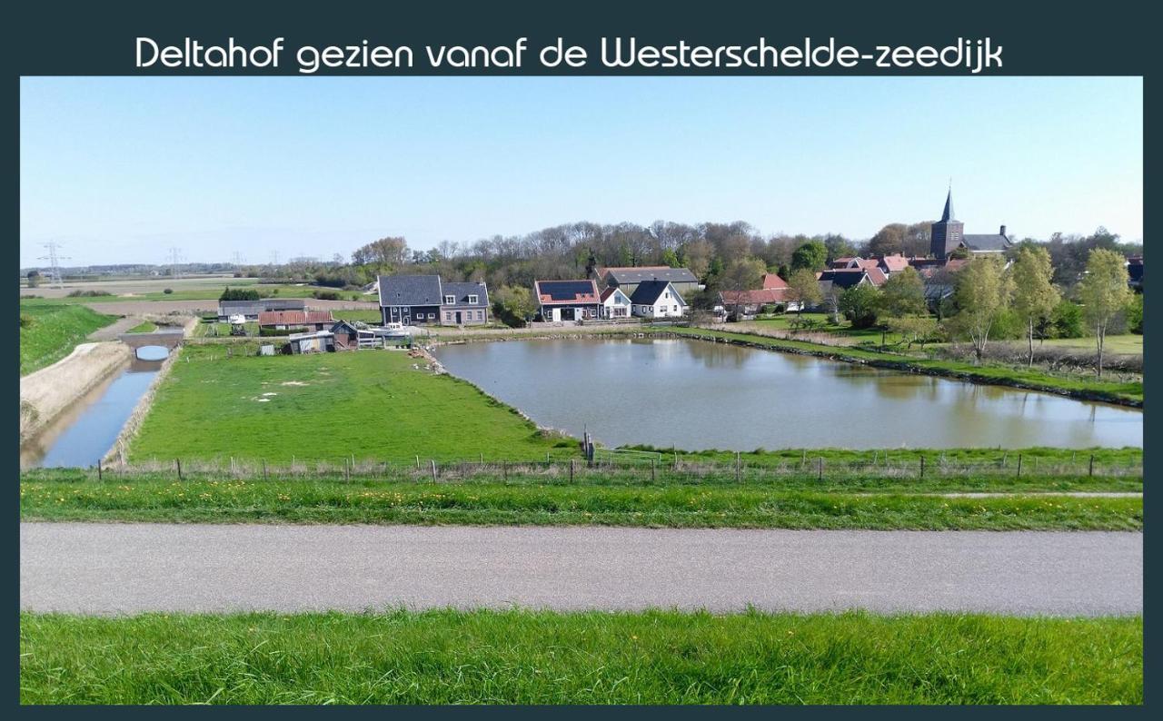 Vakantiewoning Deltahof Ellewoutsdijk Exteriör bild