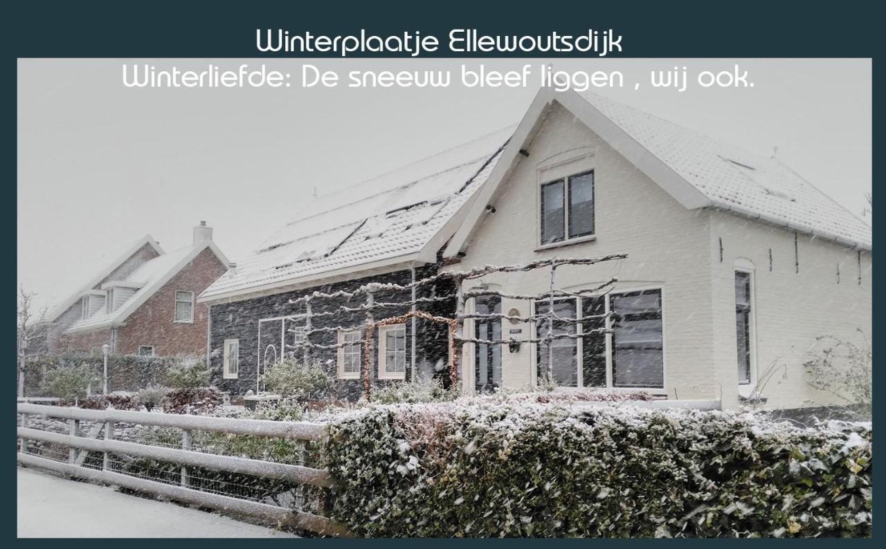Vakantiewoning Deltahof Ellewoutsdijk Exteriör bild