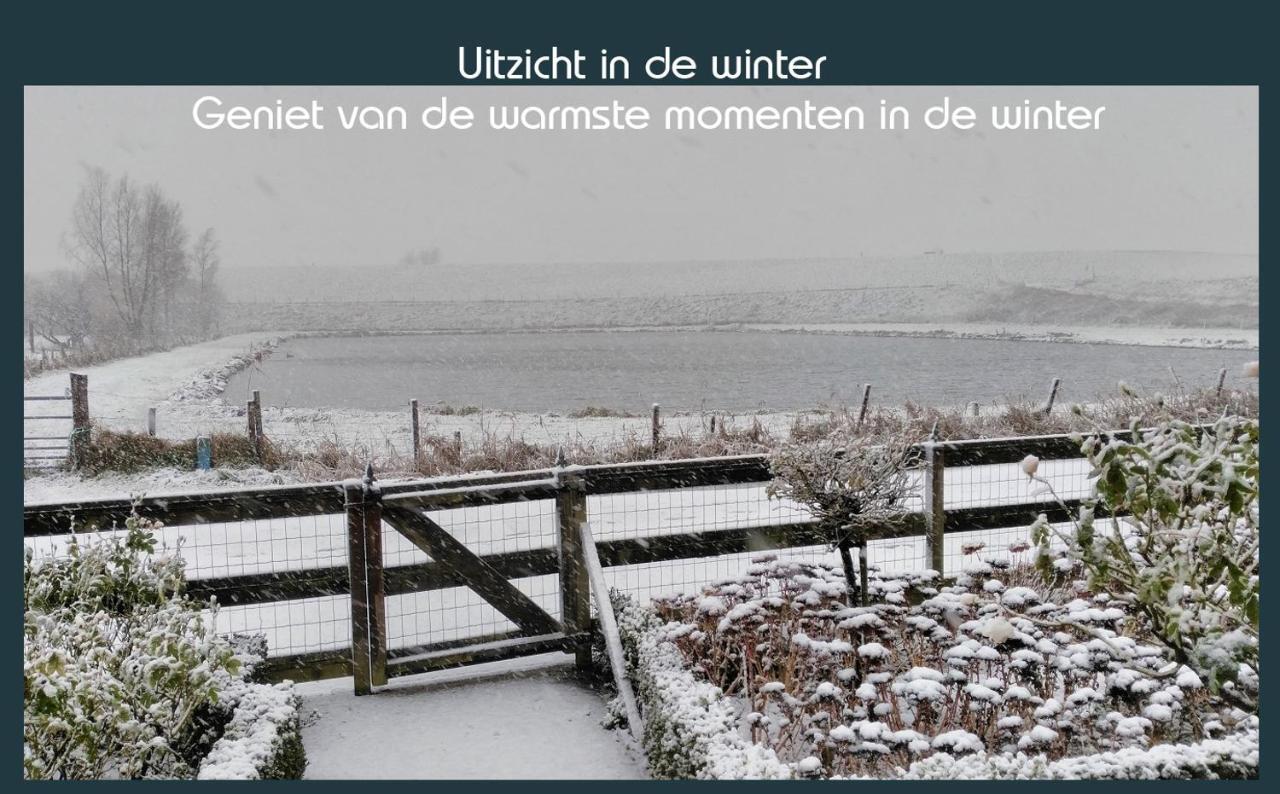 Vakantiewoning Deltahof Ellewoutsdijk Exteriör bild